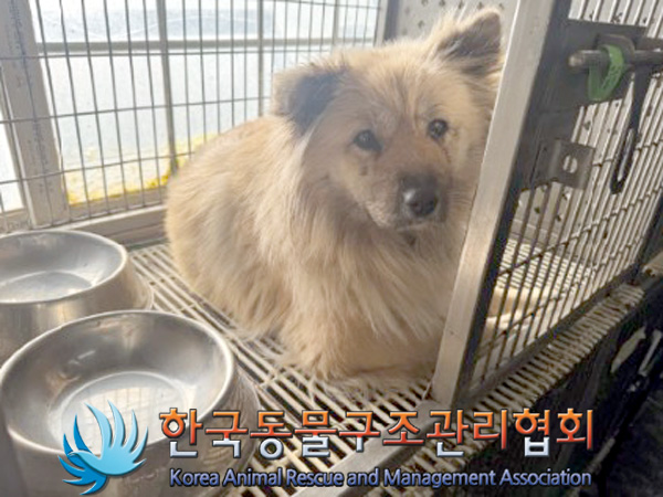 한국동물구조관리협회_441409202500105